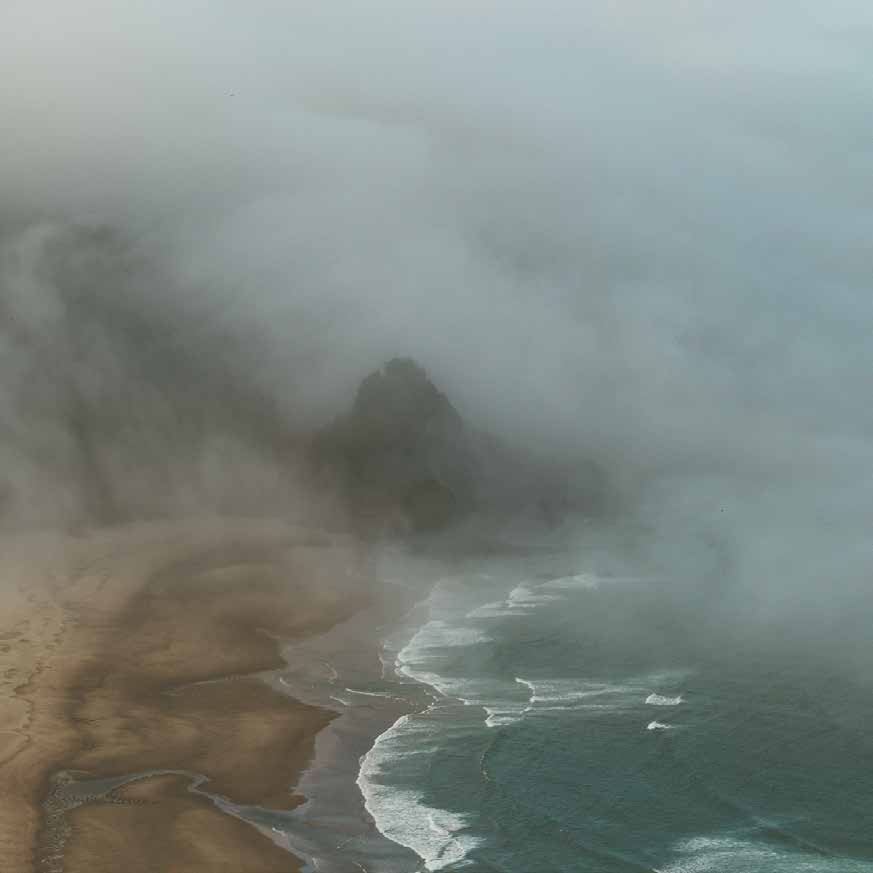 Fog along the Pacific coast