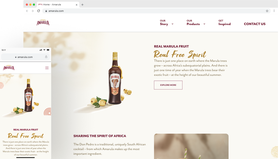 Image preview of Amarula responsive web design