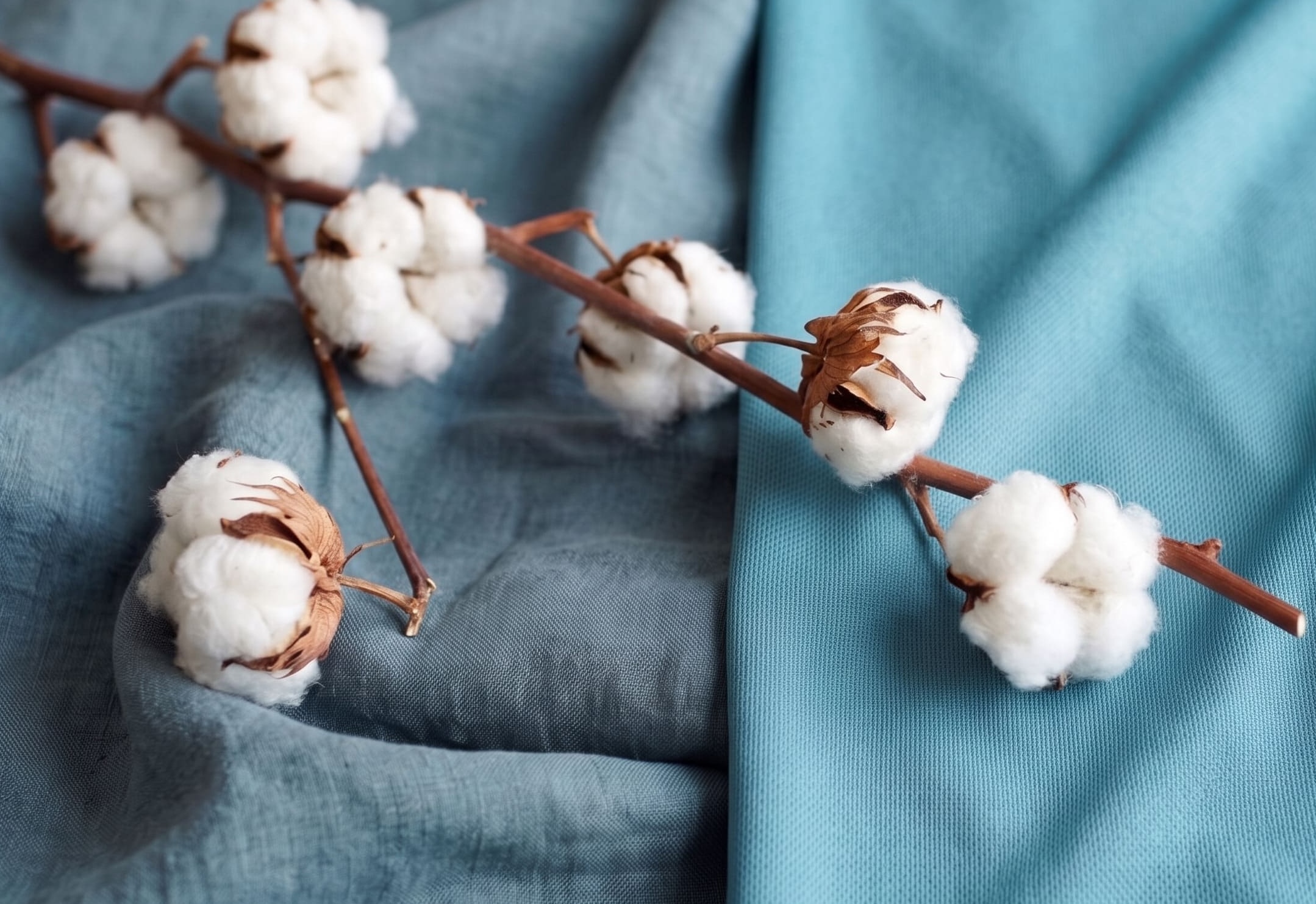 Cotton vs Polyester All Over Print: What Fabric Choice Really Changes Cotton vs Polyester All Over Print: What Fabric Choice Really Changes