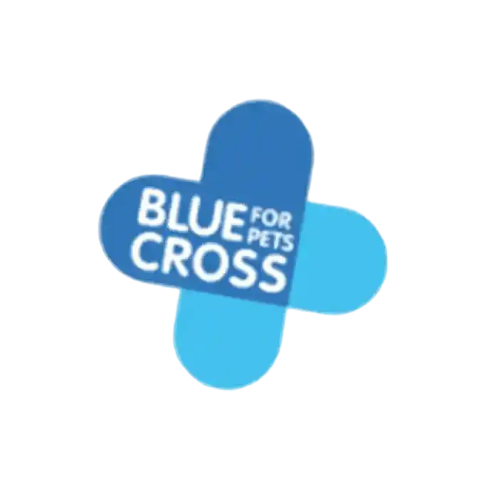 Logo Blue Cross