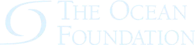 A black and white photo of the logo for the ocean foundation.