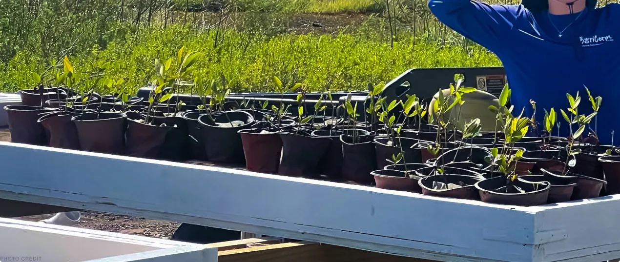 A man standing next to a row of potted plants.