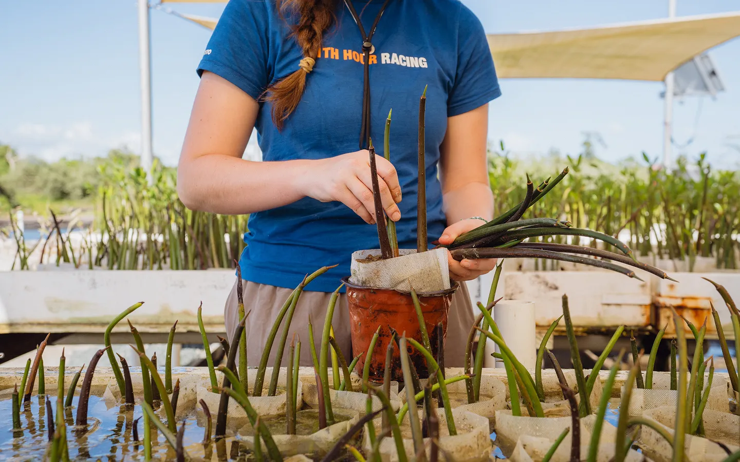 A woman holding a potted plant in her hands.