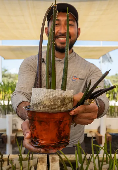 A man holding a potted plant in his hands.