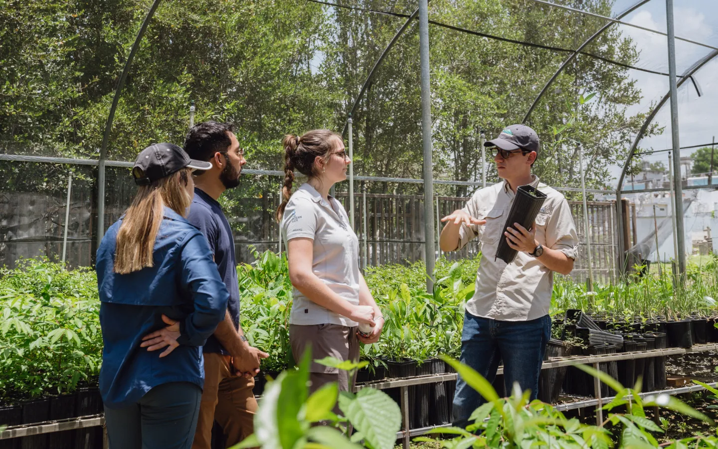 A group of people in a greenhouse looking at plants.