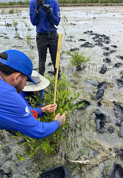 Two men in blue jackets and hats are looking at plants.