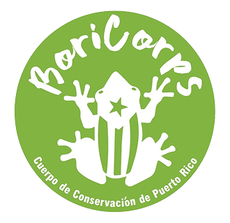 A green and white logo with a frog on it.