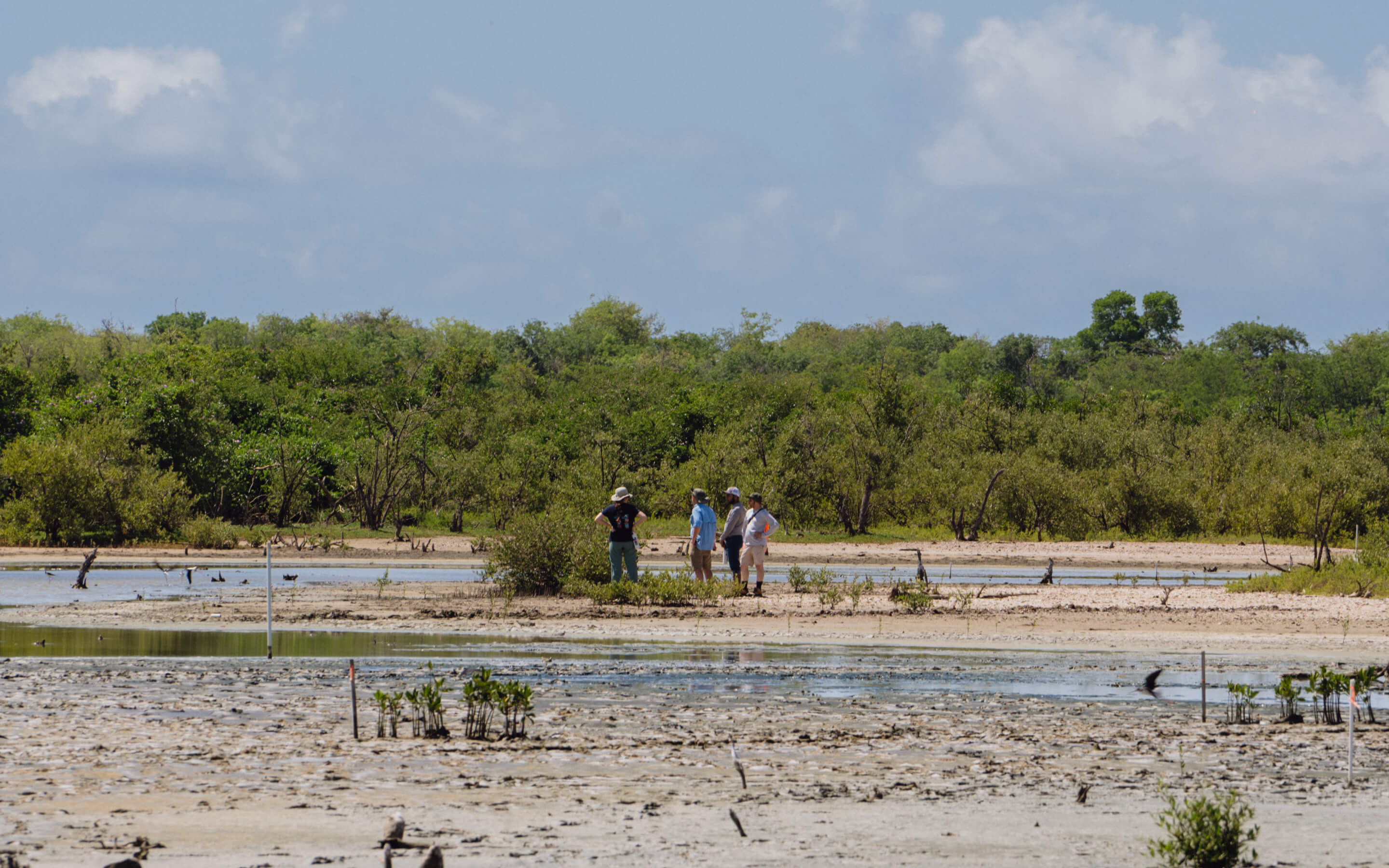 A group of people standing on a beach next to a body of water.