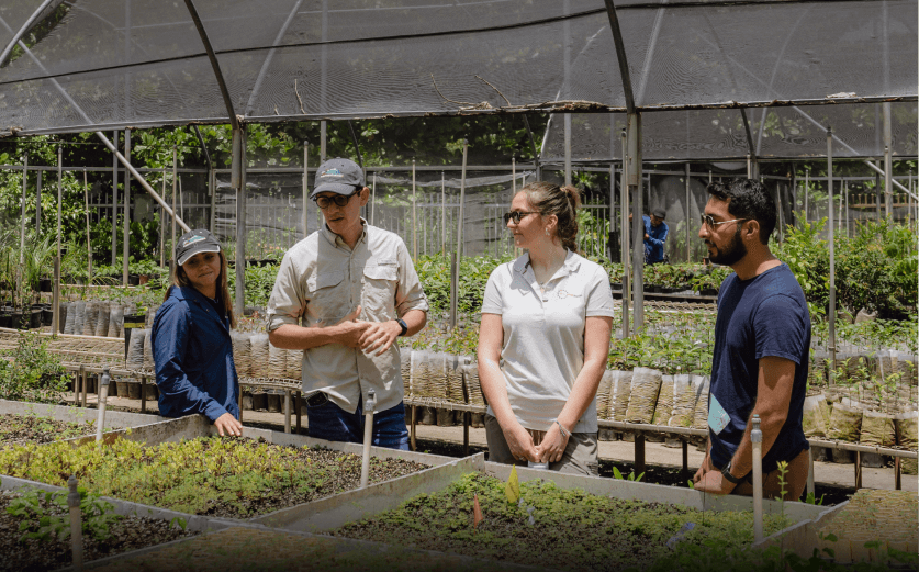 A group of people standing around a garden.