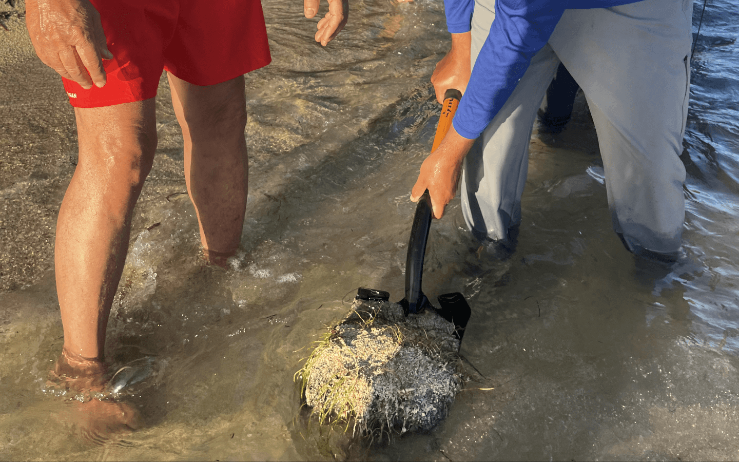 Two men standing in the water with a small object in the water.