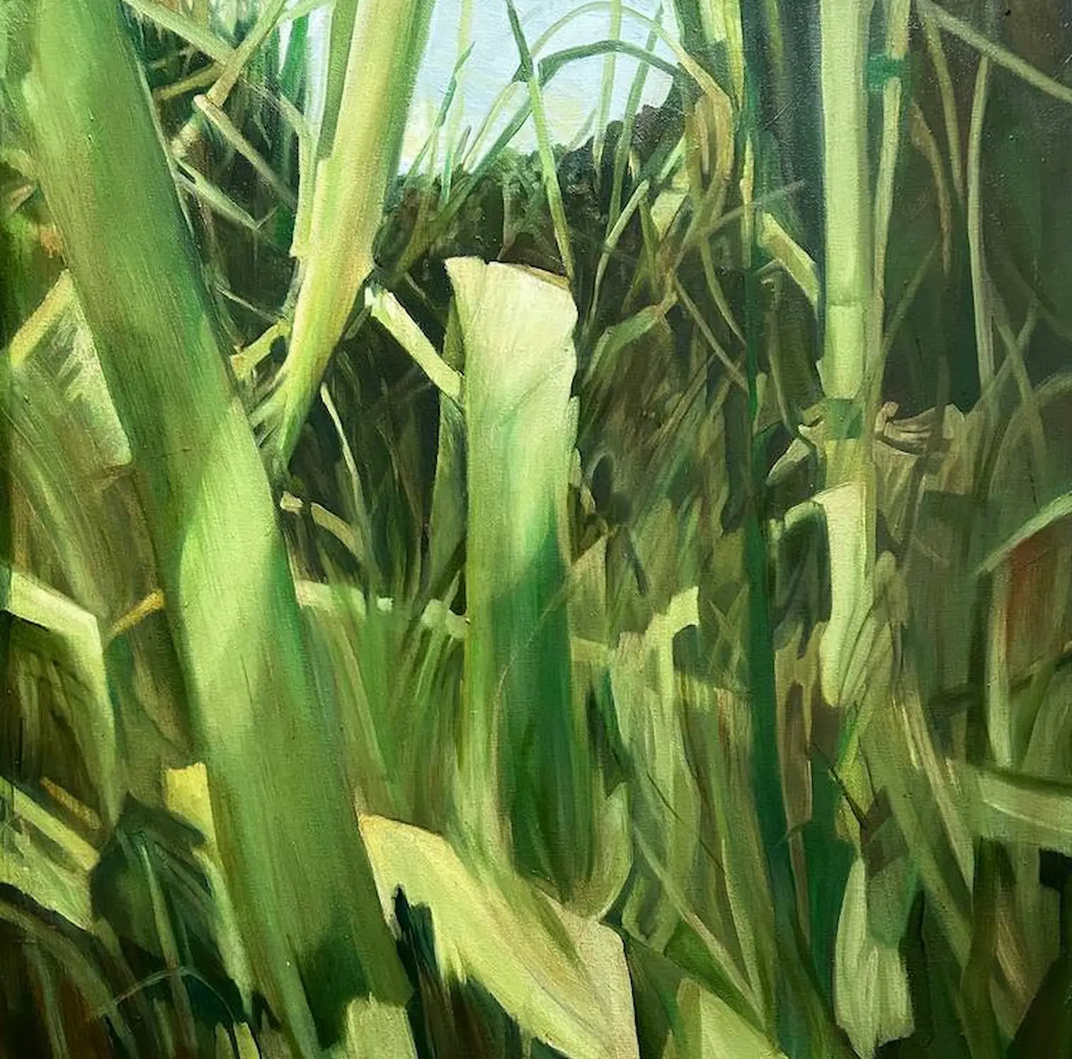 Artwork showcase