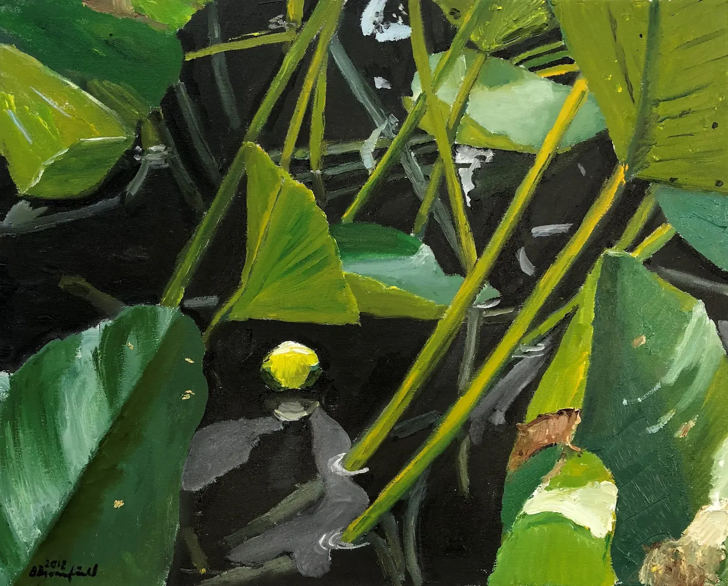 Artwork showcase