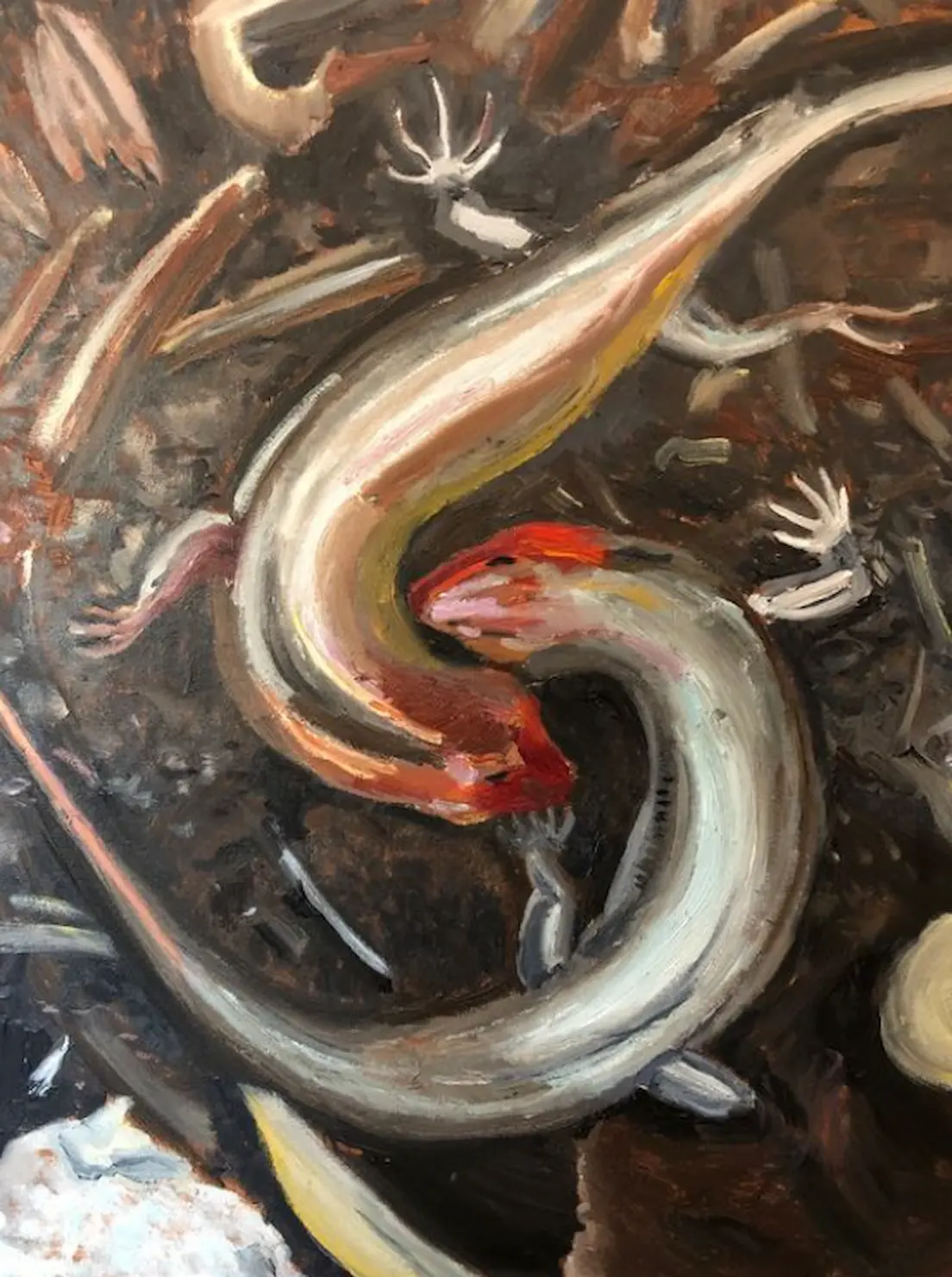 Artwork showcase
