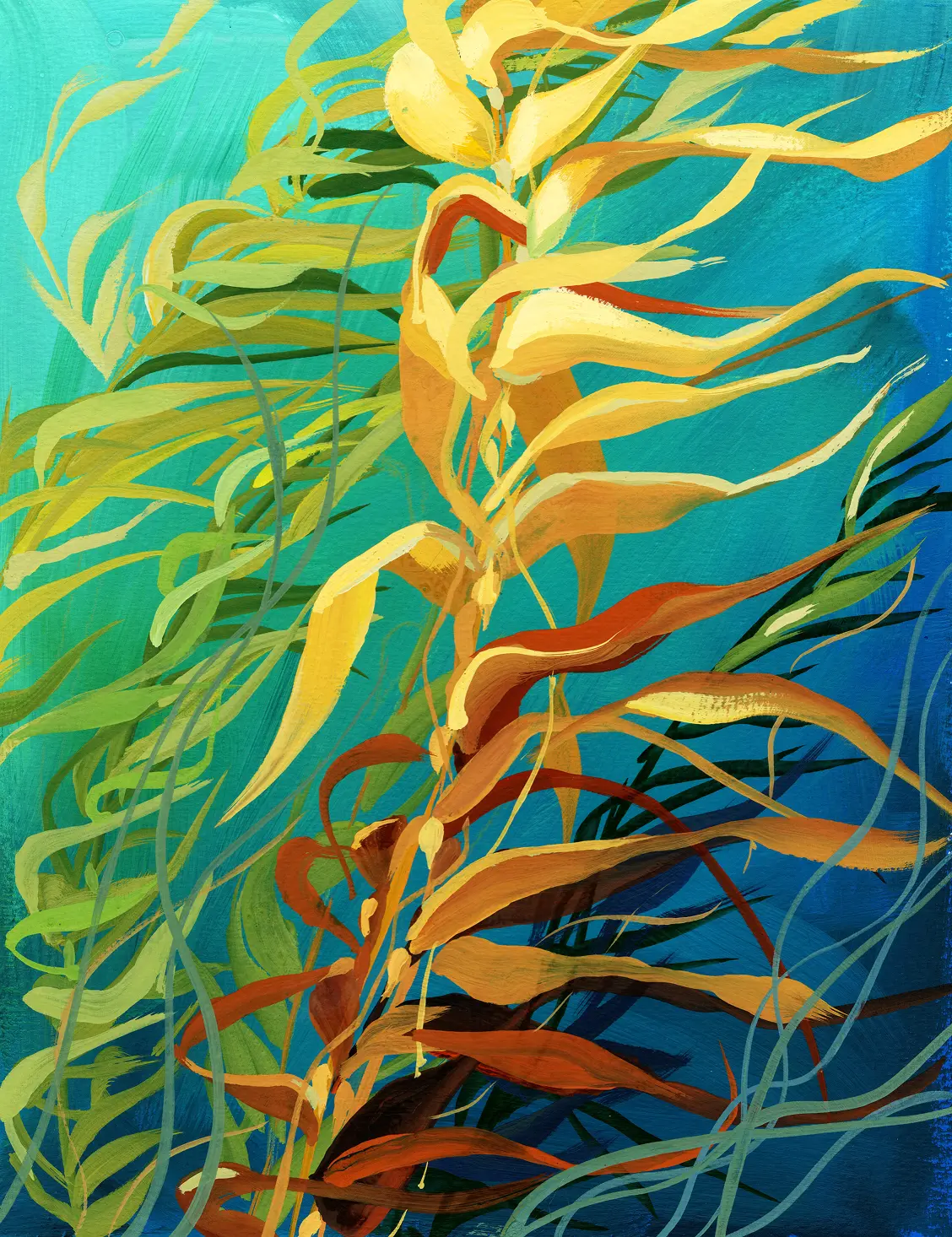 Artwork showcase