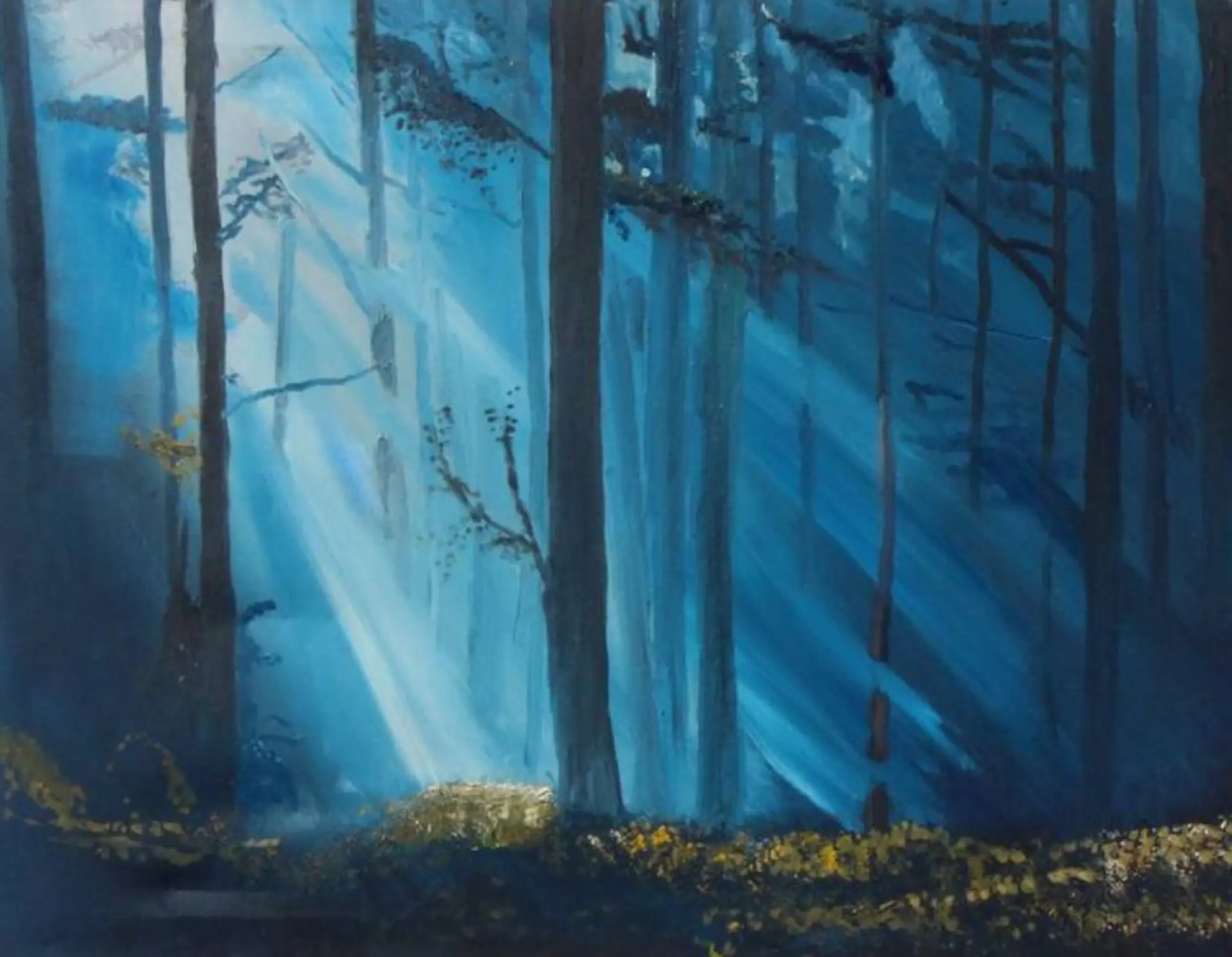 Artwork showcase
