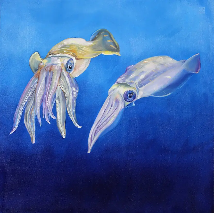 Artwork showcase