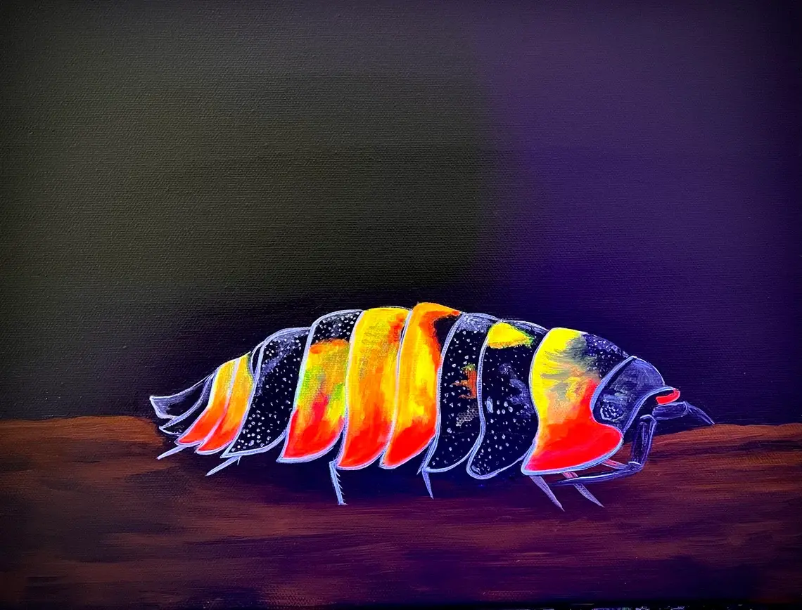 Artwork
