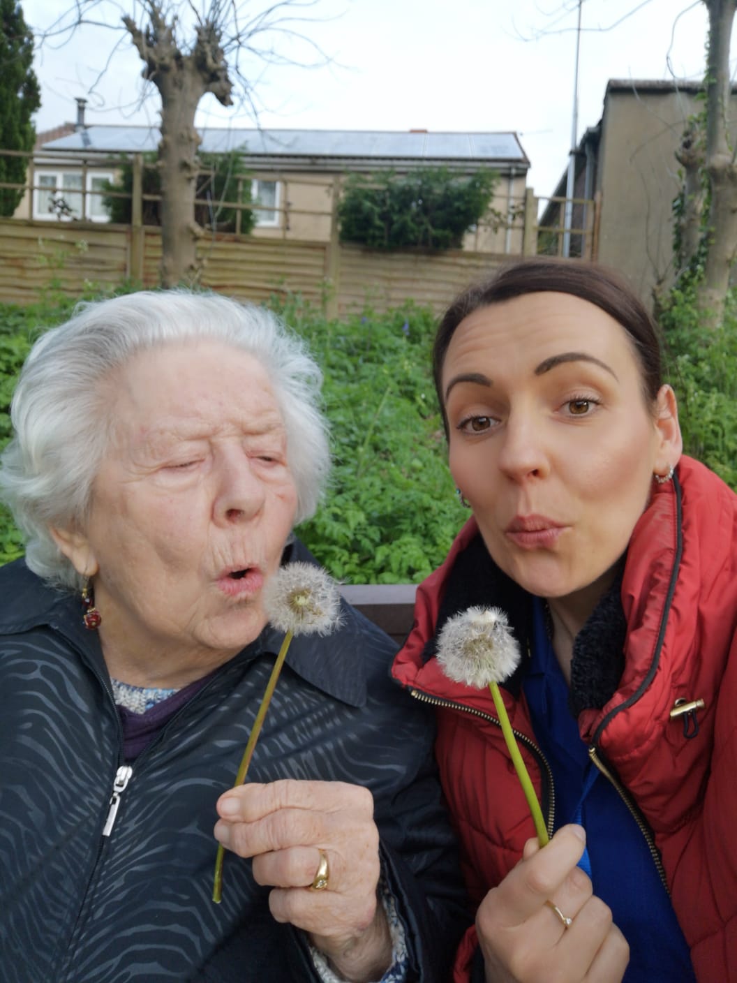 A Little Magic With Dandelions