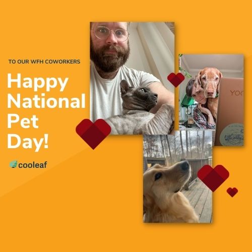 Cooleaf branded graphic celebrating National Pet Day