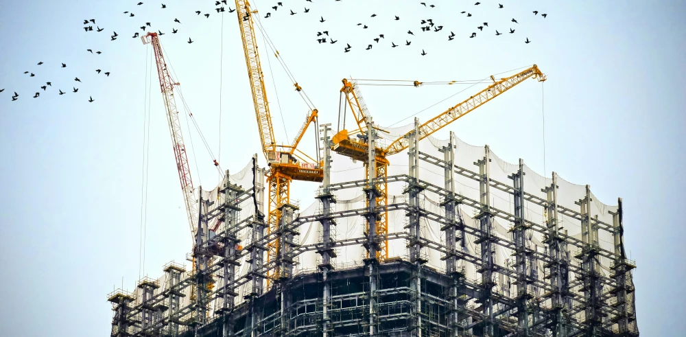 construction and automotive management projects