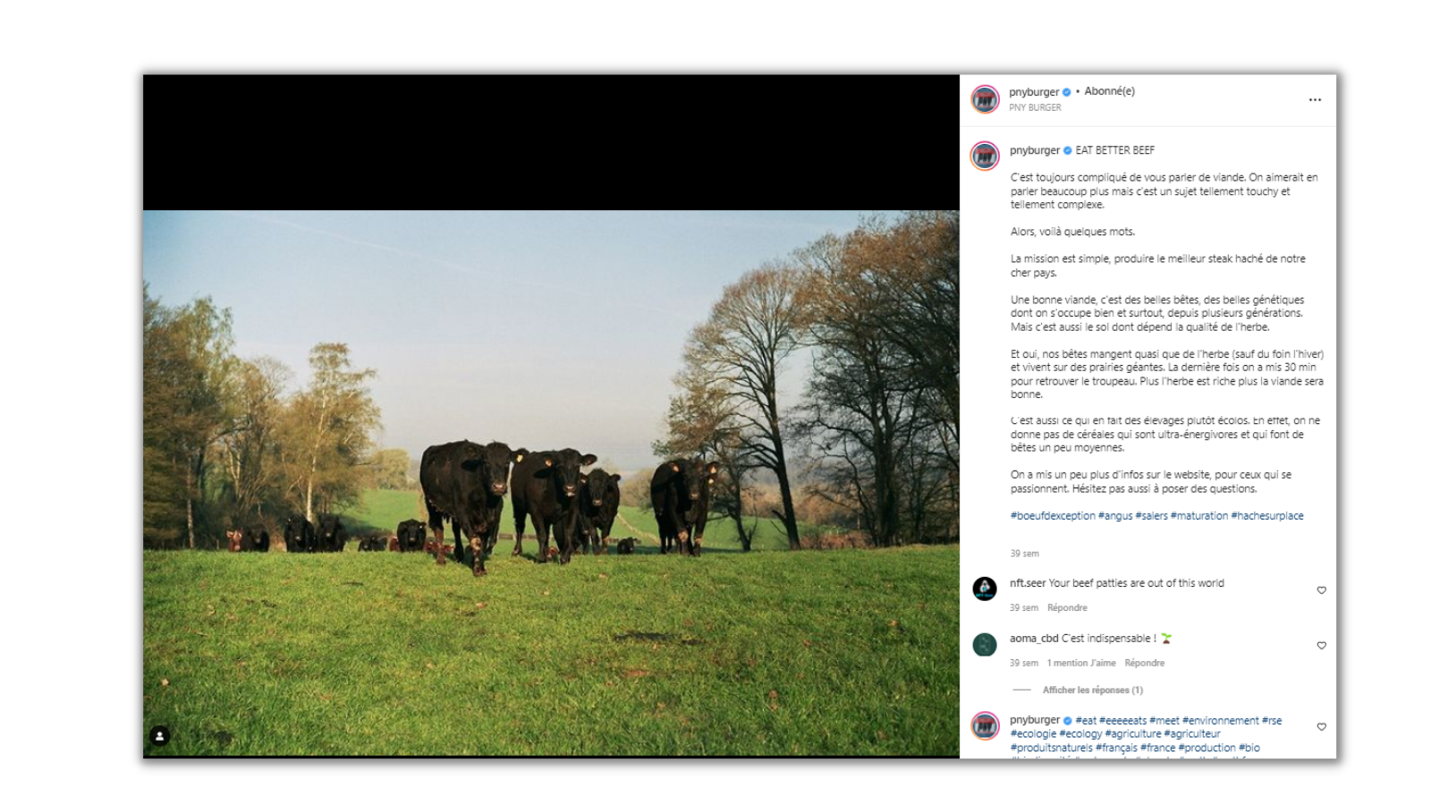 instagram pny ecole de commerce malou