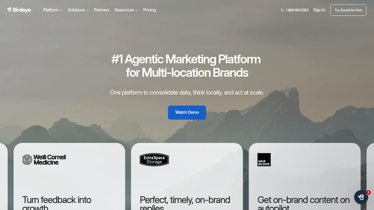 Screenshot of https://birdeye.com