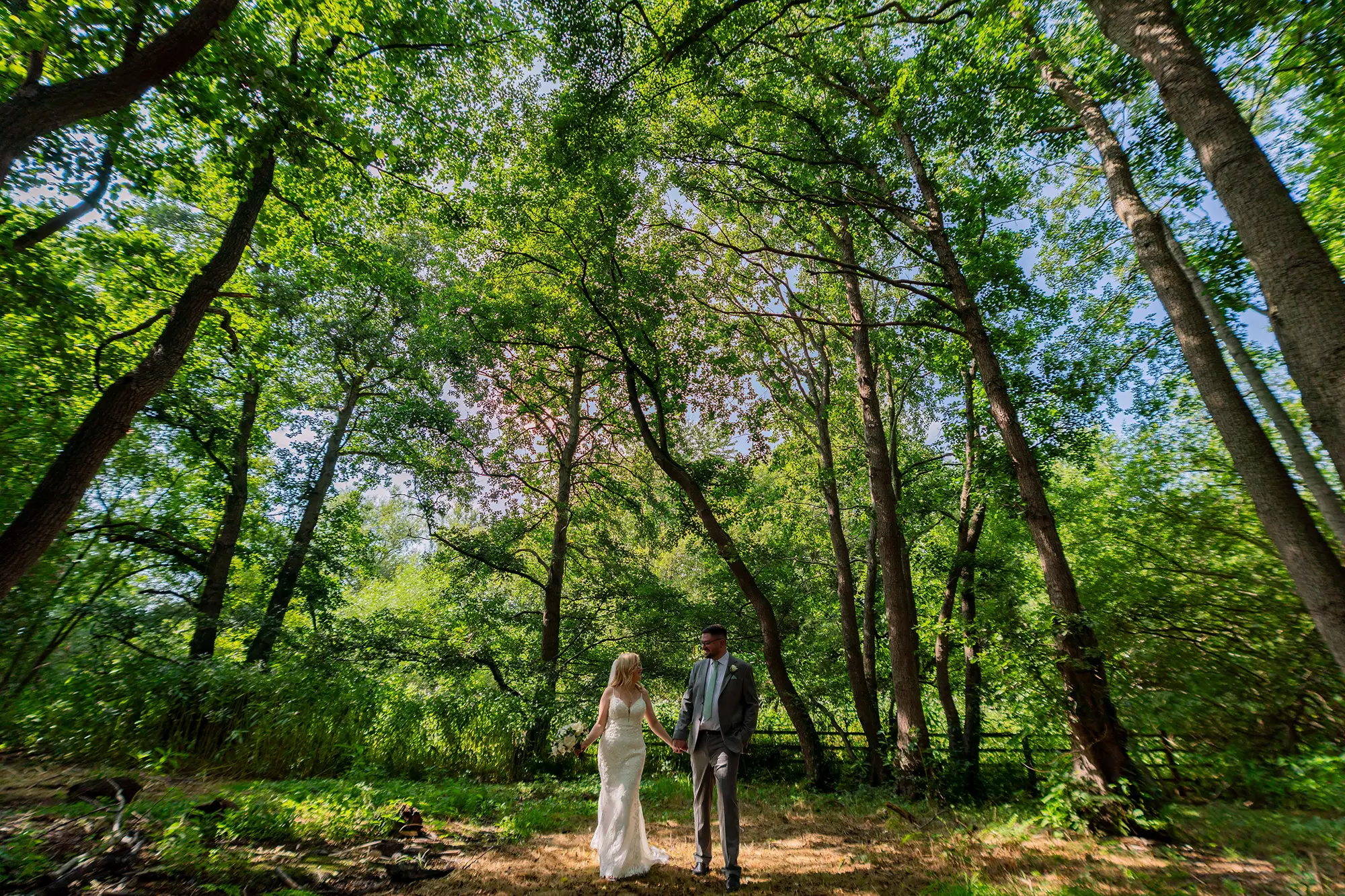 Newlyweds in the woodland at Blackbrook Barns, Lichfield, Staffordshire