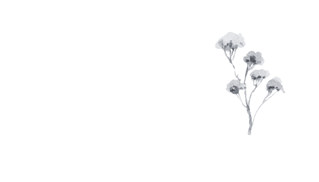 Wisp and Wonder Illustrations logo