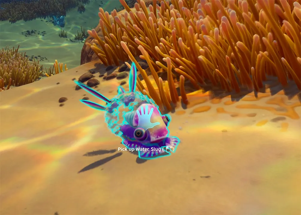 Water Slug creature highlighted on the seabed in Subnautica 2 with the "Pick up Water Slug" prompt next to orange coral