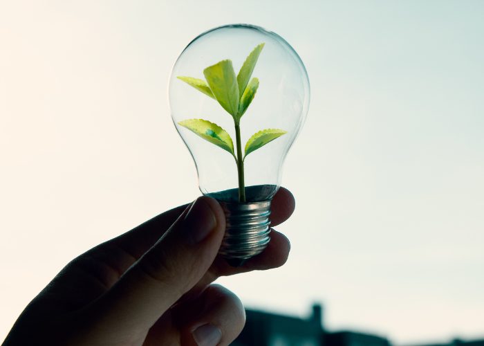 Renewable Energy Forecasting: A Challenge or an Opportunity?