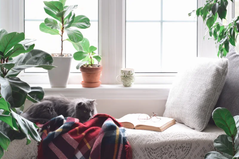 Home office or study nook
