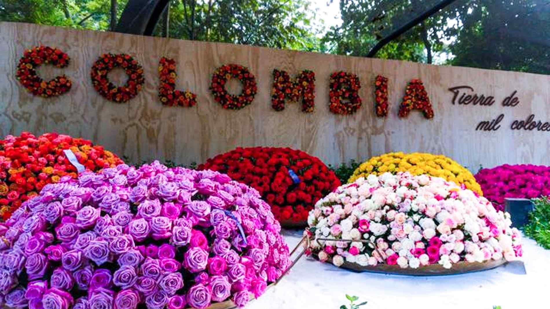 Jardín Botánico de Medellín