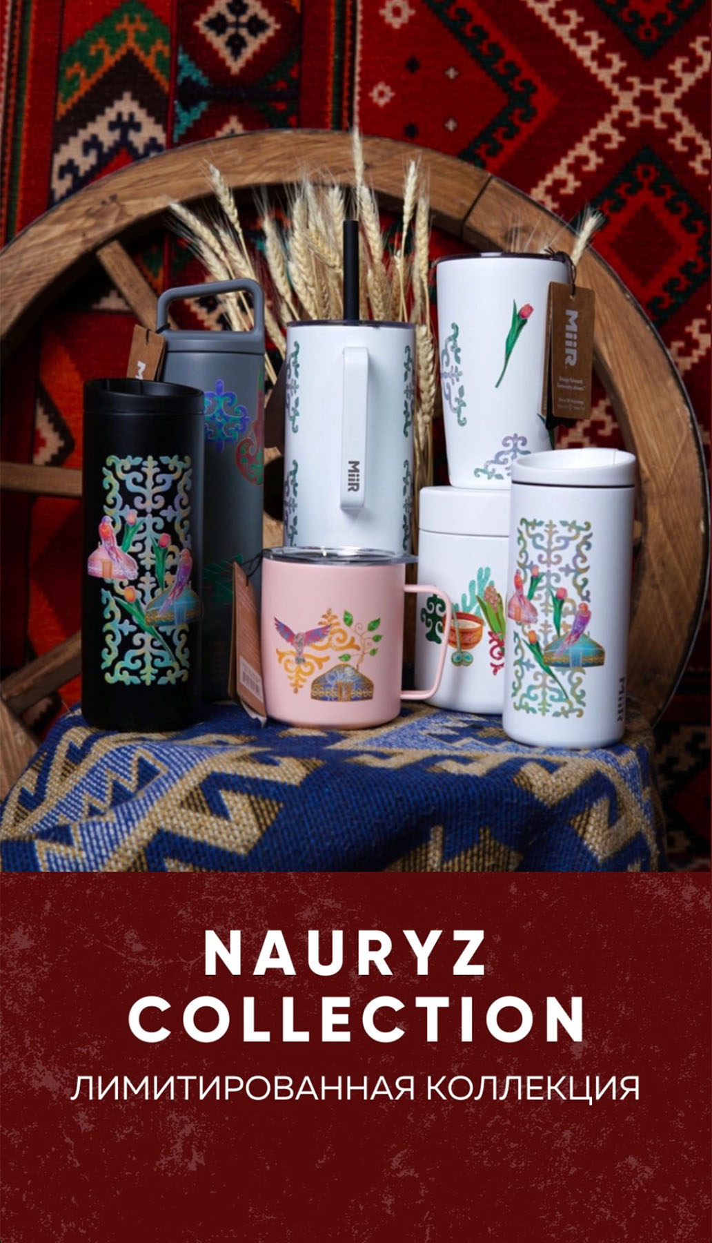 Envi products - Madina Marat illustration