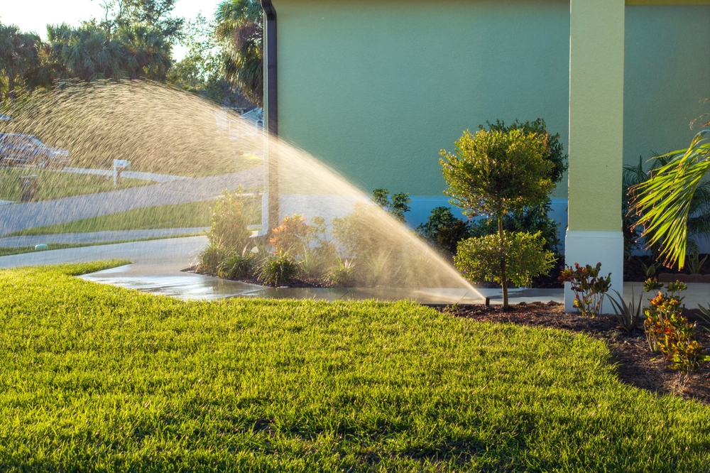 How Your Irrigation System May Be Attracting Pests 