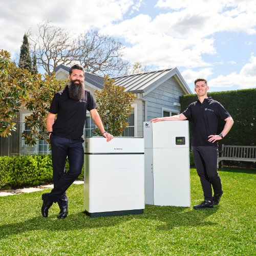 Safe, long-lasting LFP battery technology