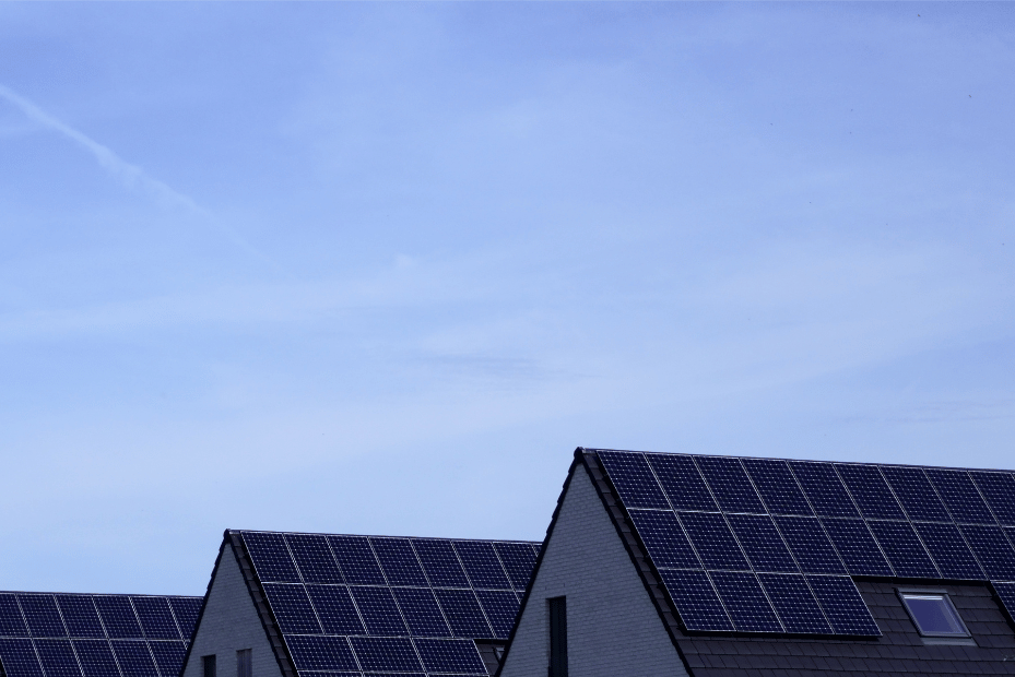 What is a virtual power plant? VPPs explained