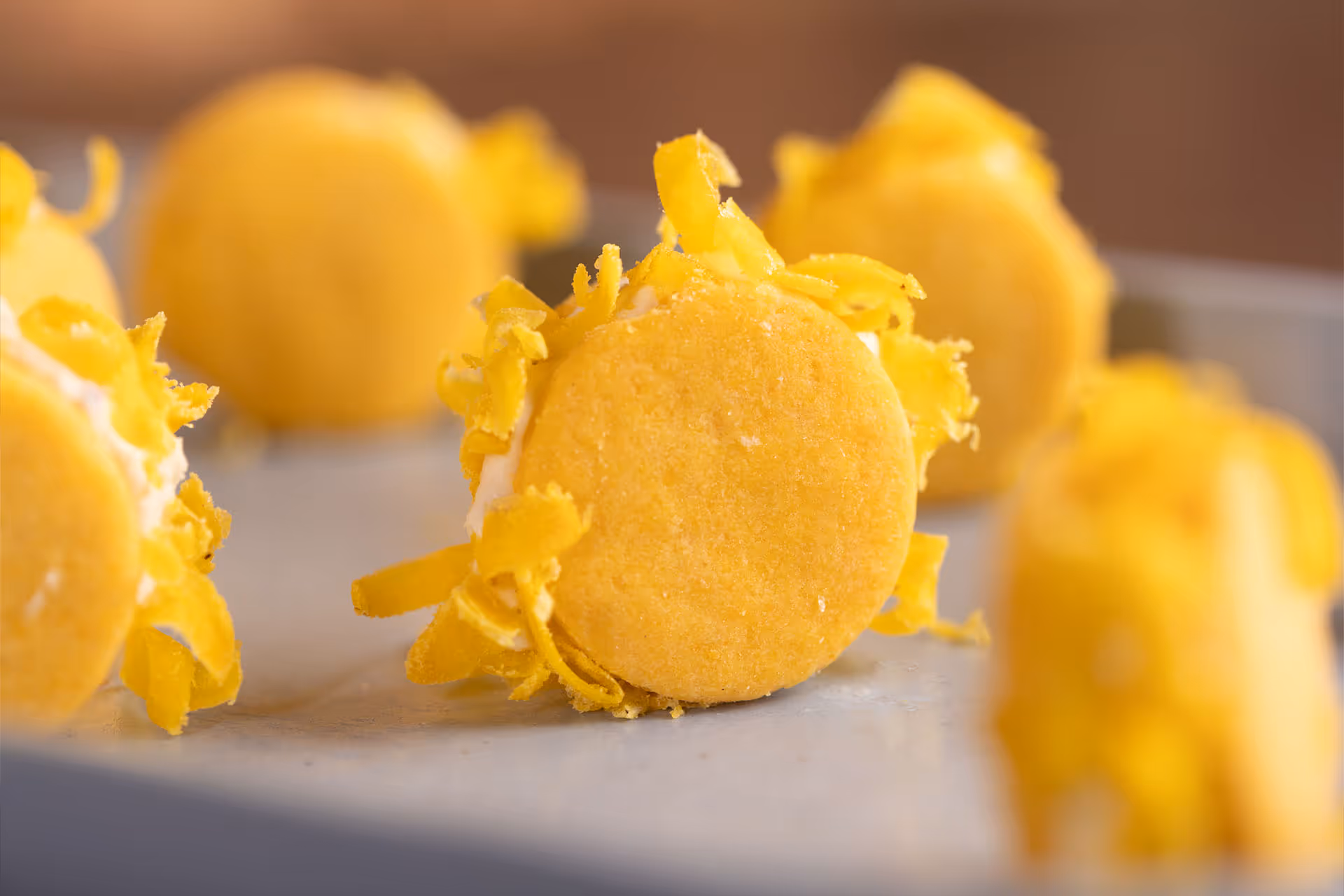 Galeria de fotos do Festival Primavera do Paladar no Botanique.