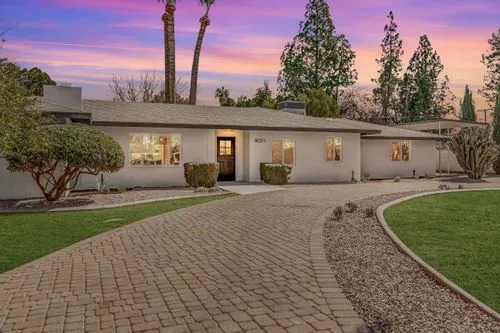 Image of hourse from outdoor