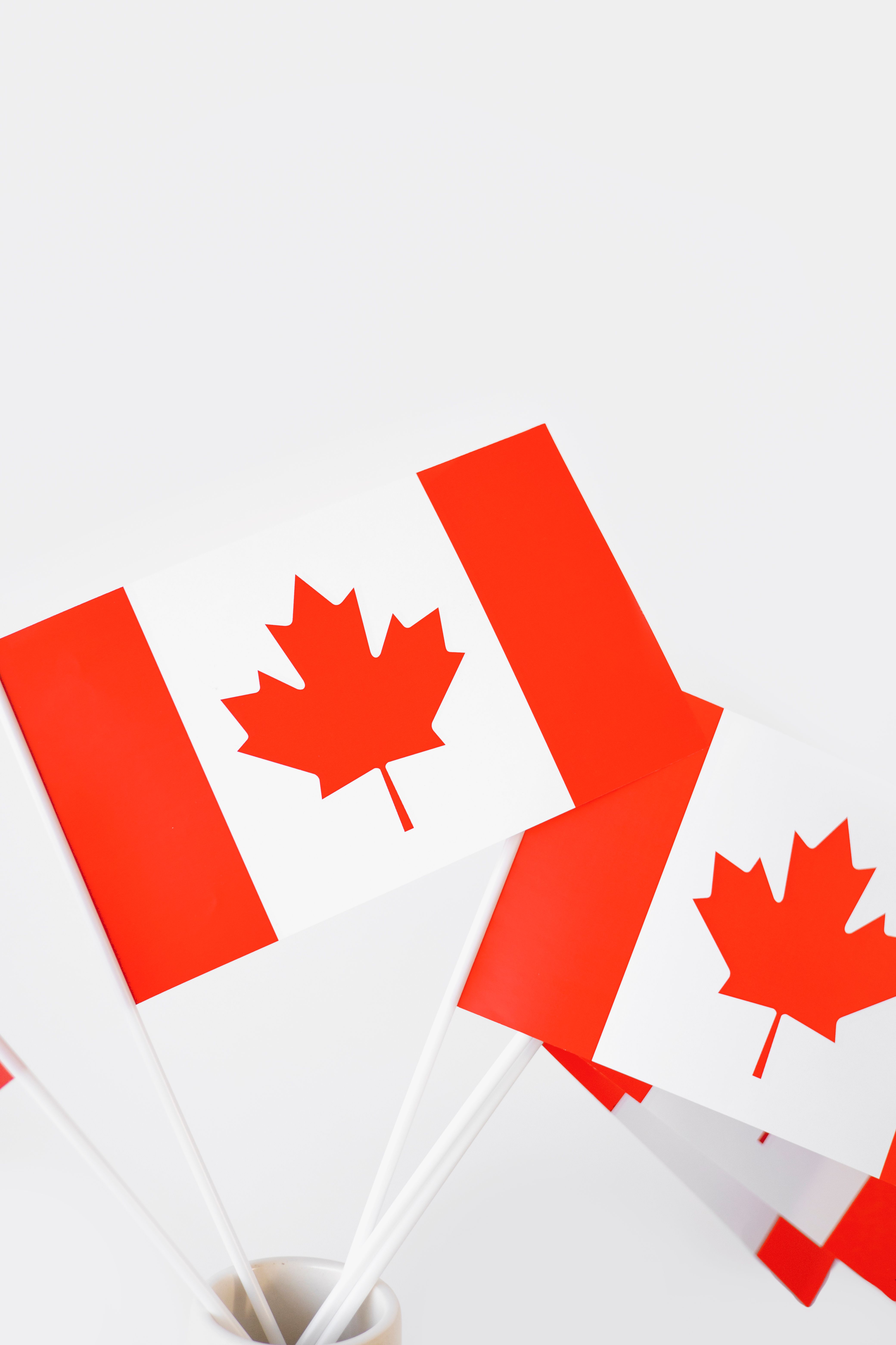 Định Cư Canada Diện Tay Nghề Tỉnh Bang 2026: Điều Kiện, Chi Phí Và Lộ Trình - hình ảnh 3 Định Cư Canada Diện Tay Nghề Tỉnh Bang 2026: Điều Kiện, Chi Phí Và Lộ Trình - hình ảnh 3