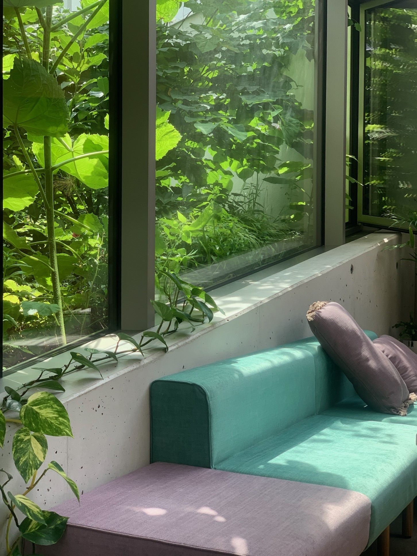 Prostředí Yoga Garden