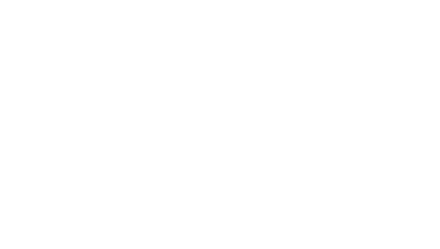 Mercedes-Benz Consulting