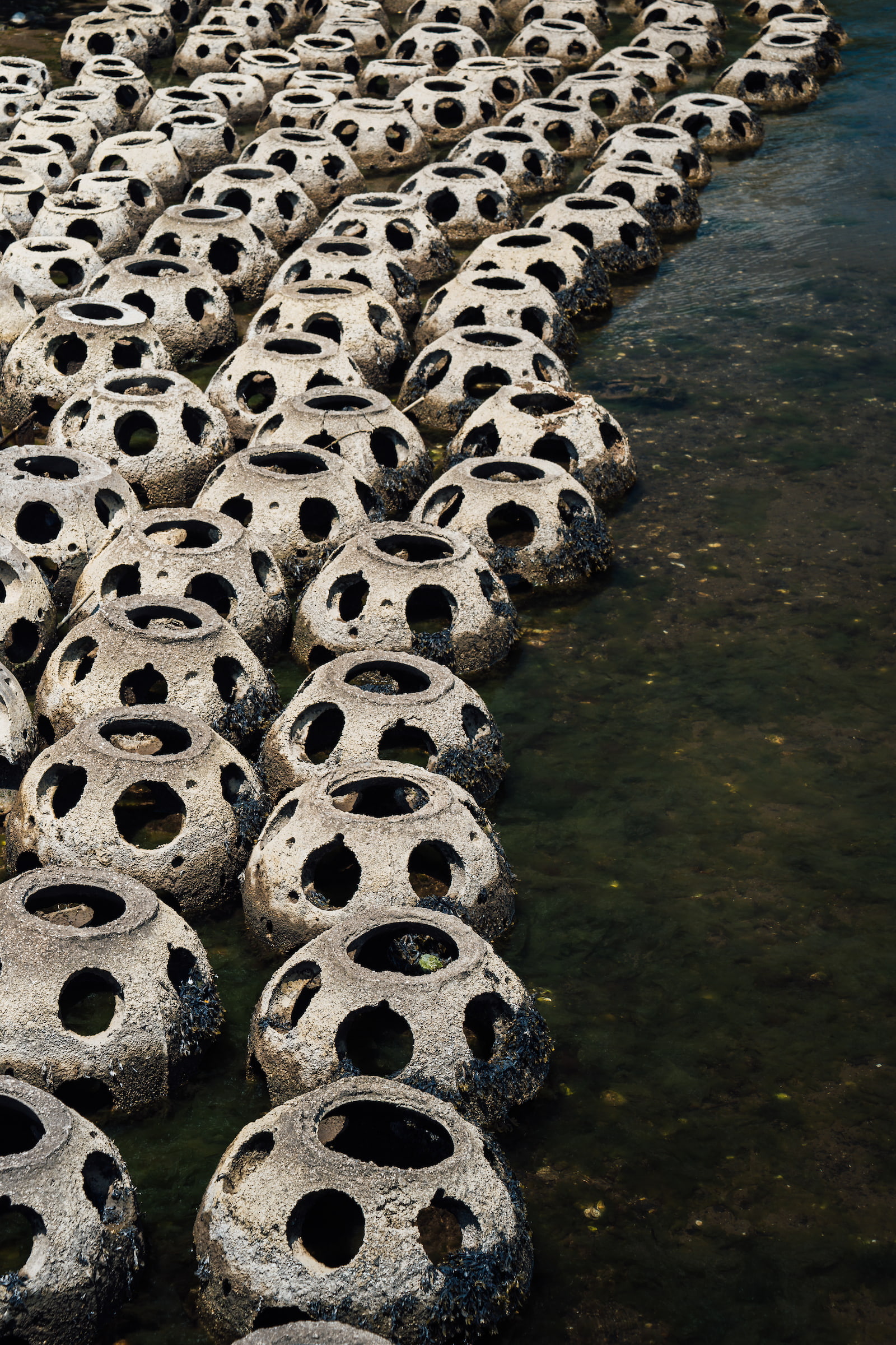 The Magic of Restoration: How Connecticut College Is Helping a Historic Shoreline Thrive