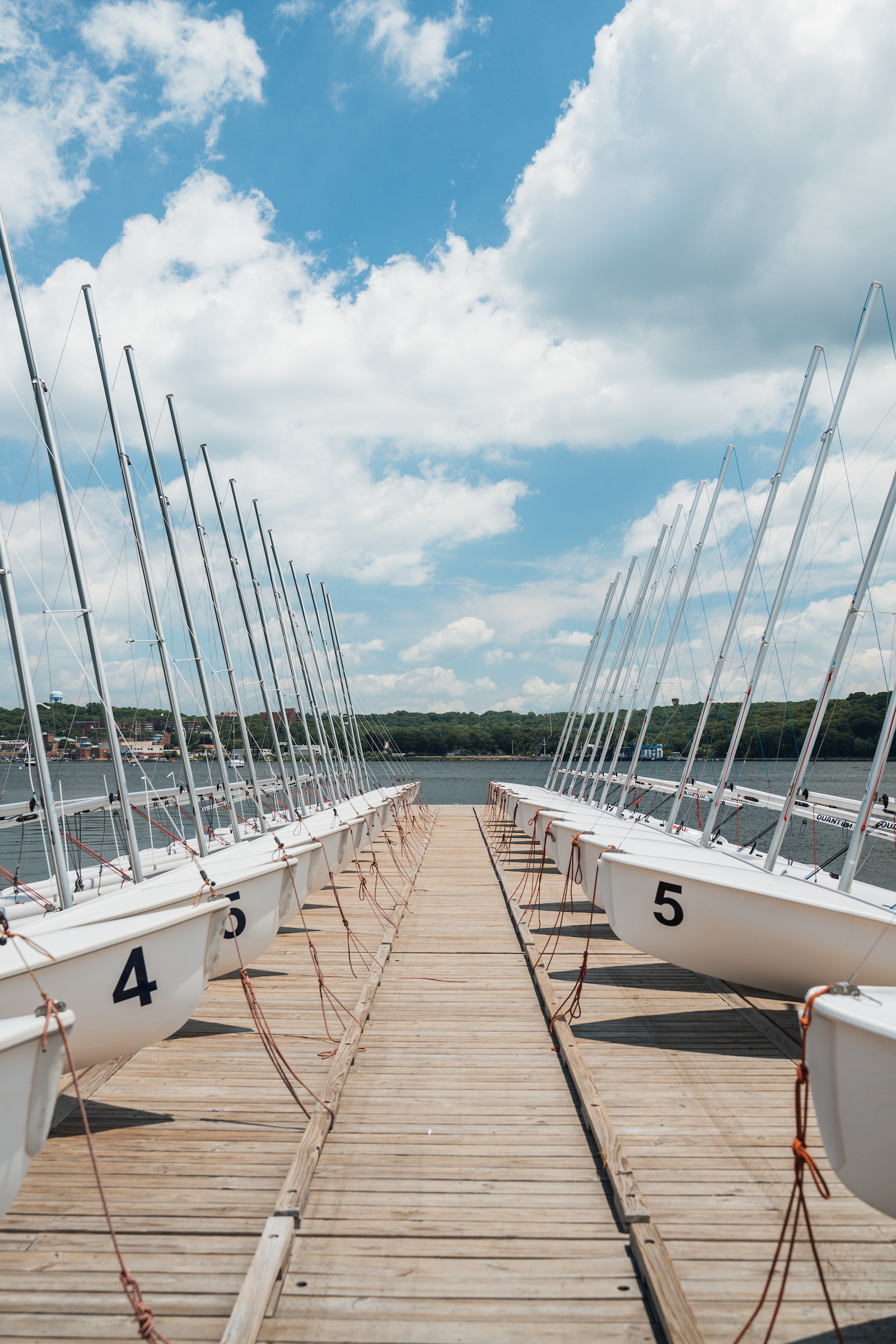 The Magic of Restoration: How Connecticut College Is Helping a Historic Shoreline Thrive