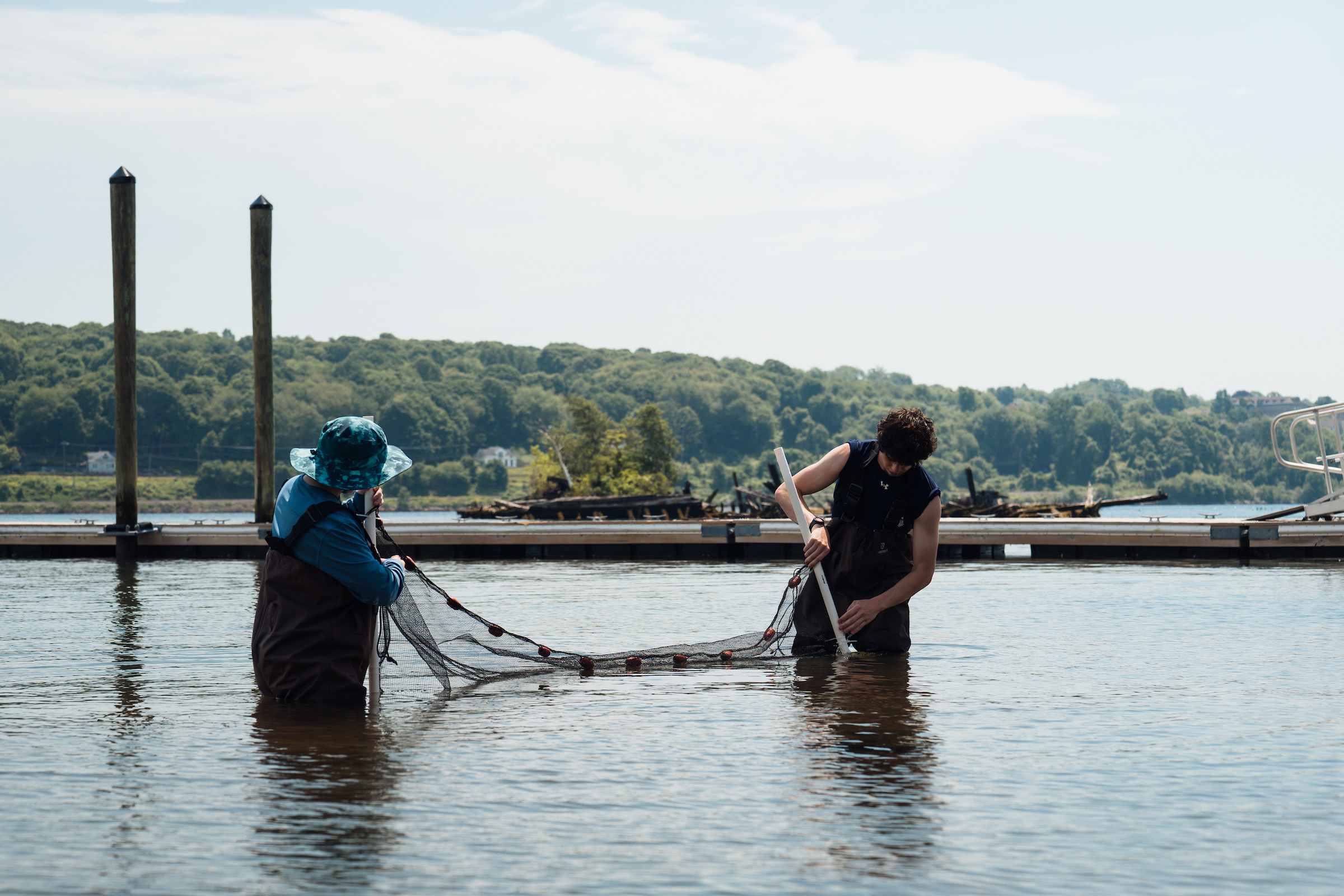 The Magic of Restoration: How Connecticut College Is Helping a Historic Shoreline Thrive