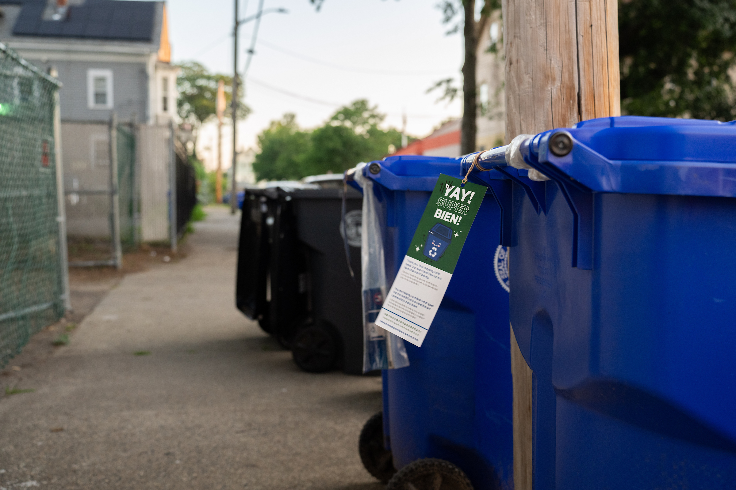 From Oops to Yay: How Zero Waste Providence Is Changing Recycling Habits