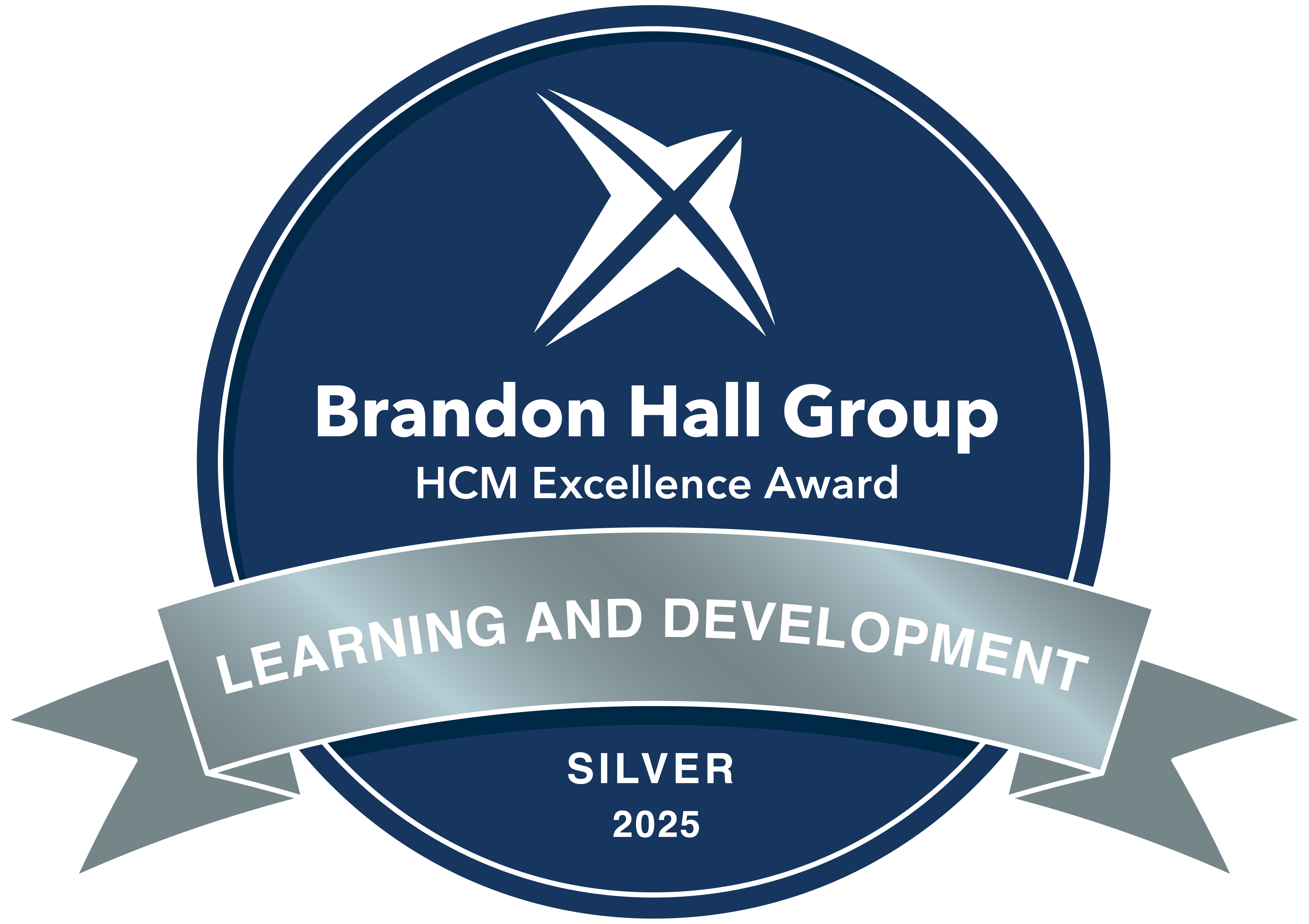 Brandon hall group silver