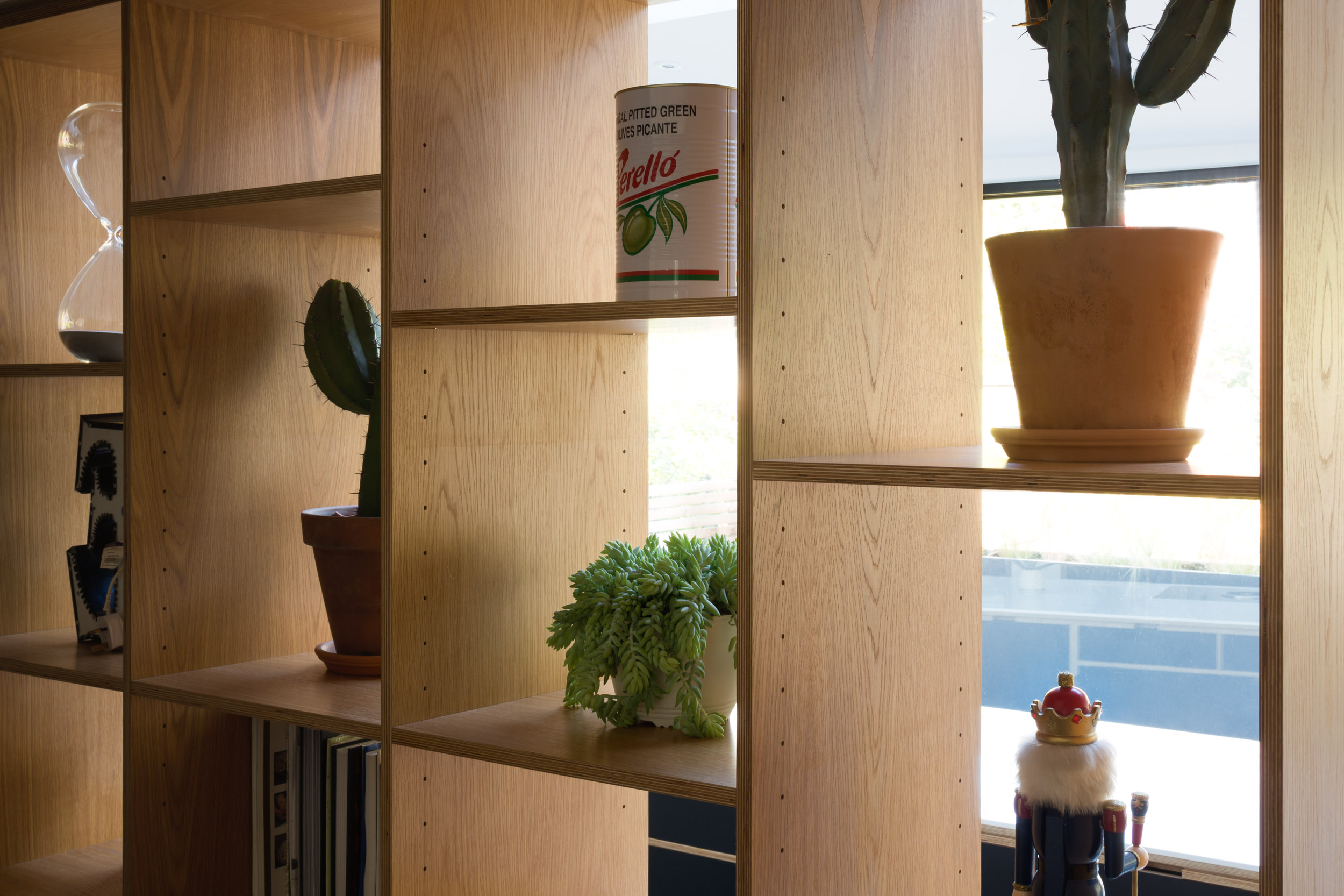 Double sided bookcase with cactus