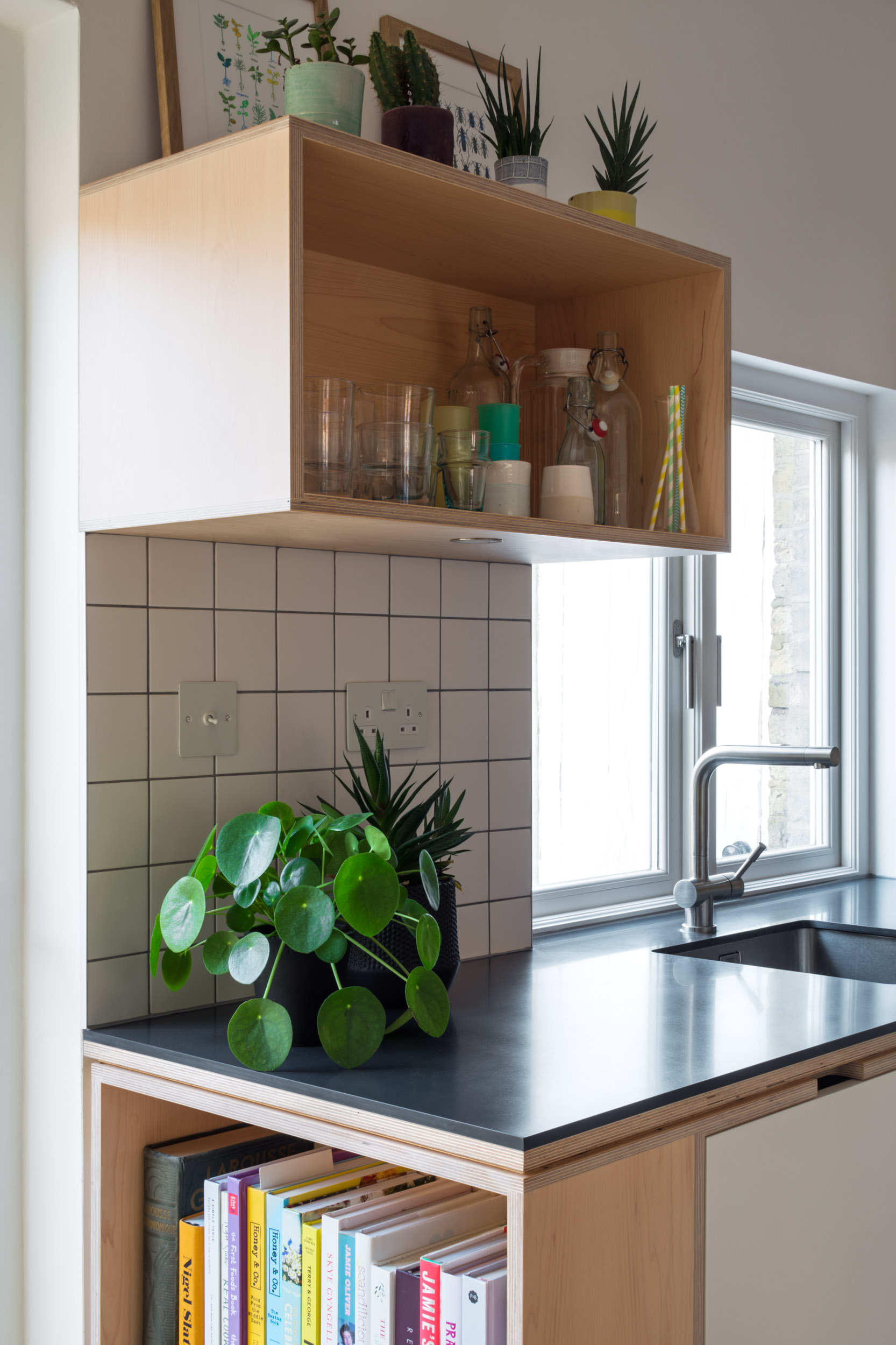 Plywood Kitchen Worktop With Houseplant