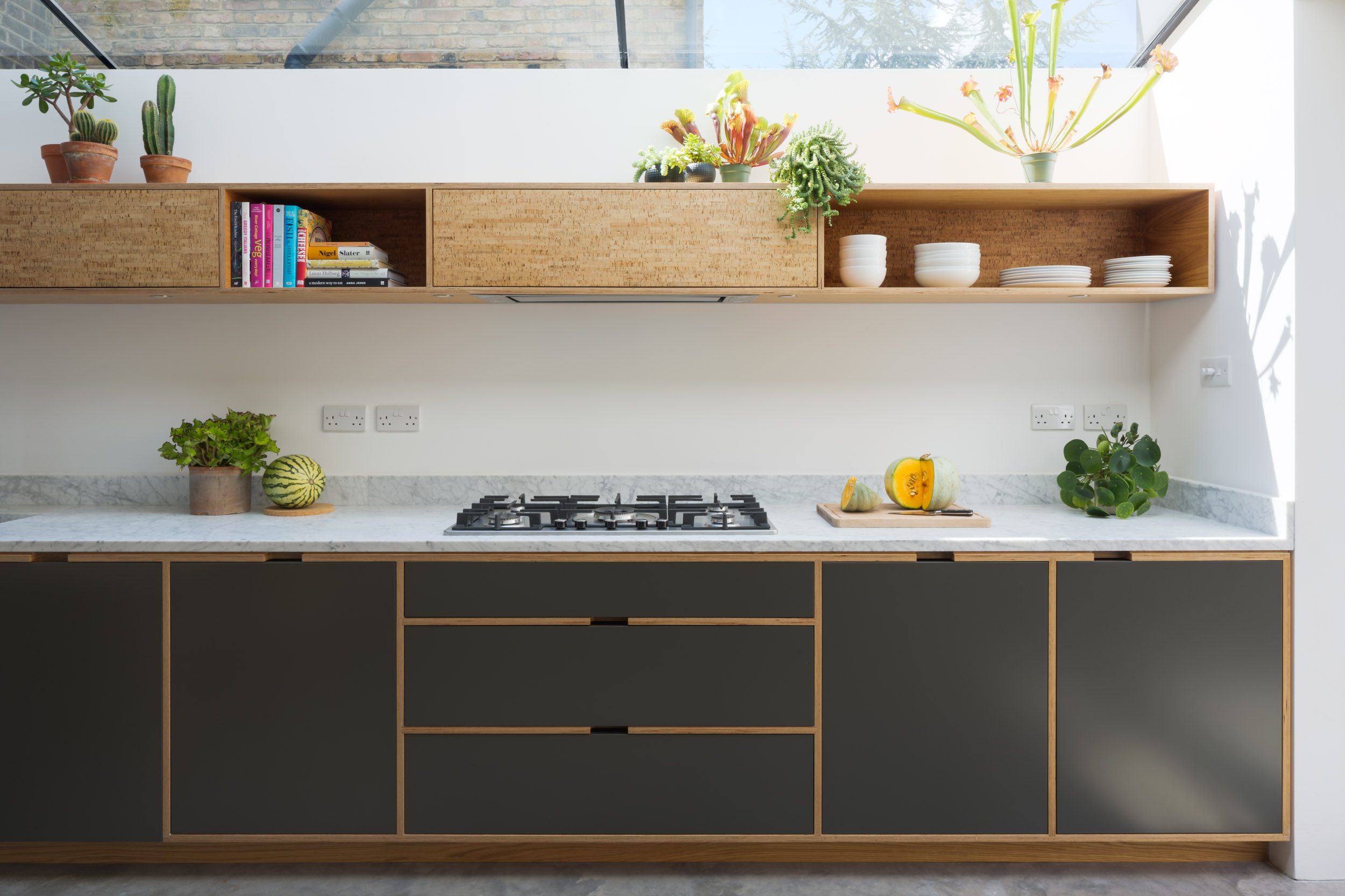 Slate Grey plywood kitchen with cork wall cabinetry. Planting and skylight.