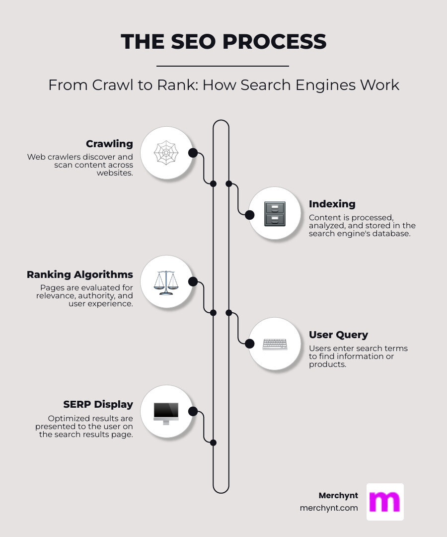 Comprehensive infographic showing the SEO process: web crawlers finding and scanning websites, search engines indexing content in their databases, ranking algorithms evaluating pages based on relevance and authority, and finally displaying optimized results to users in search engine results pages - seo optimization infographic infographic-line-5-steps-neat_beige